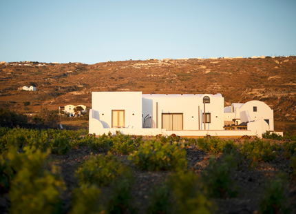 vinebranchvilla04b