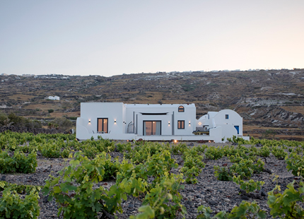 vinebranchvilla26b