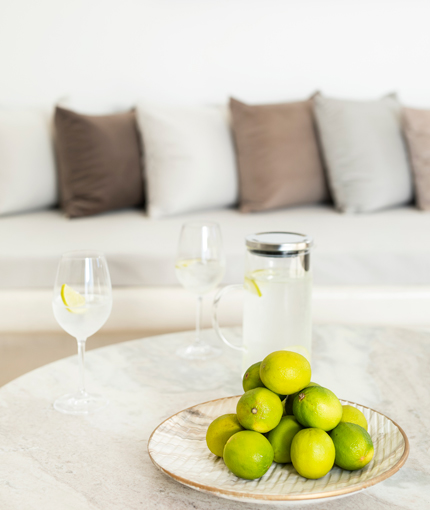 vinebranchvilla46b