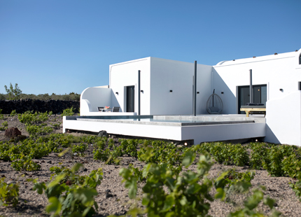 vinebranchvilla53b